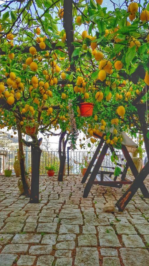Il Limoneto Degli Angeli Villa Minori Ngoại thất bức ảnh