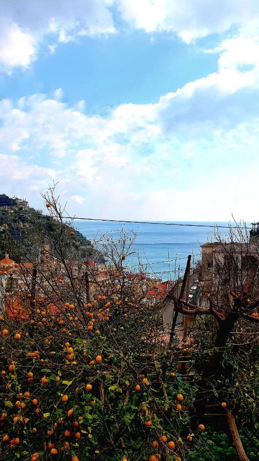 Il Limoneto Degli Angeli Villa Minori Ngoại thất bức ảnh