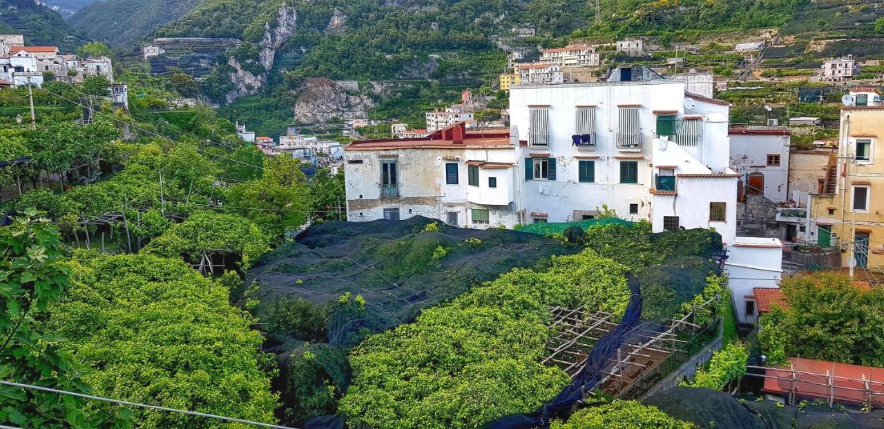 Il Limoneto Degli Angeli Villa Minori Ngoại thất bức ảnh