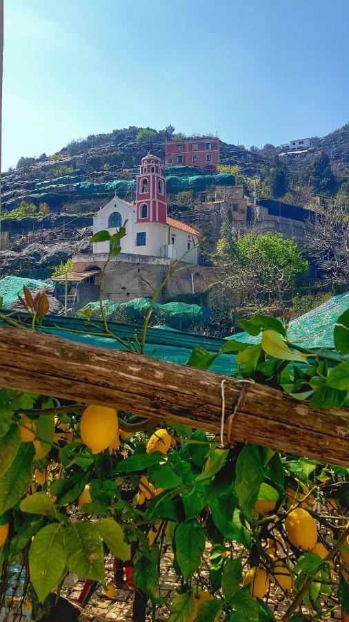 Il Limoneto Degli Angeli Villa Minori Ngoại thất bức ảnh