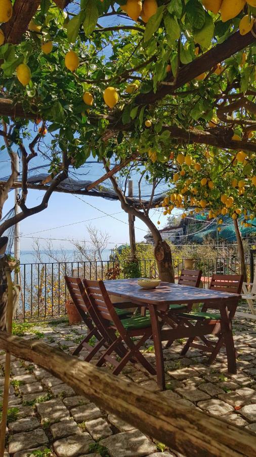 Il Limoneto Degli Angeli Villa Minori Ngoại thất bức ảnh