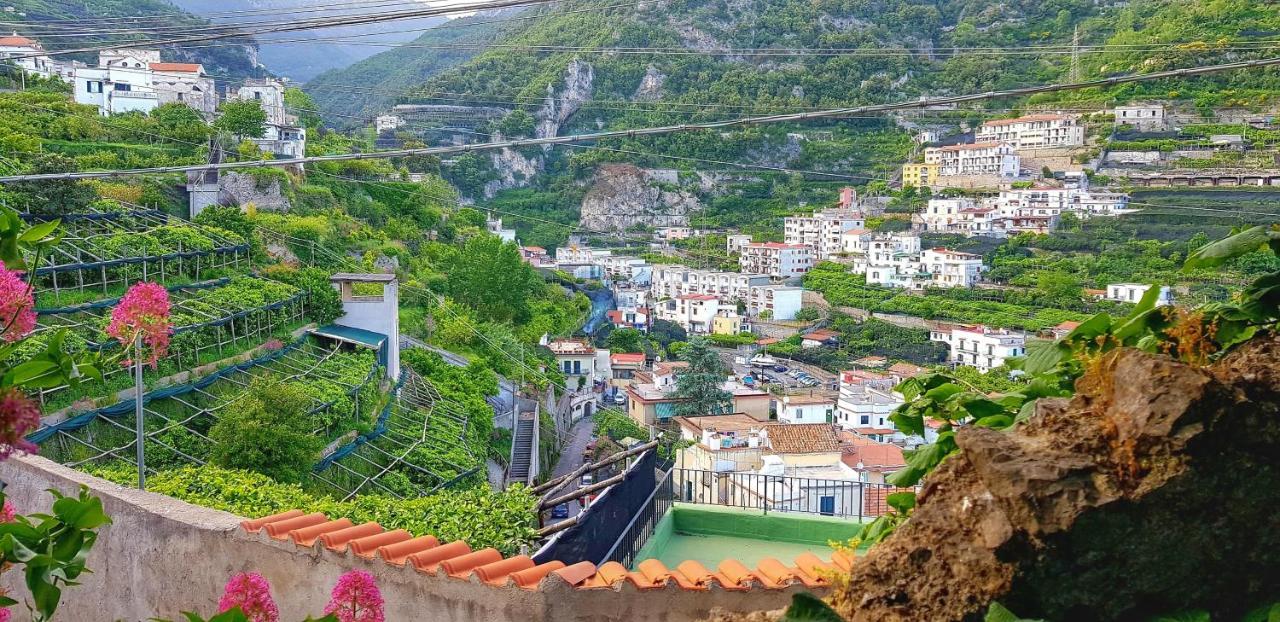 Il Limoneto Degli Angeli Villa Minori Ngoại thất bức ảnh