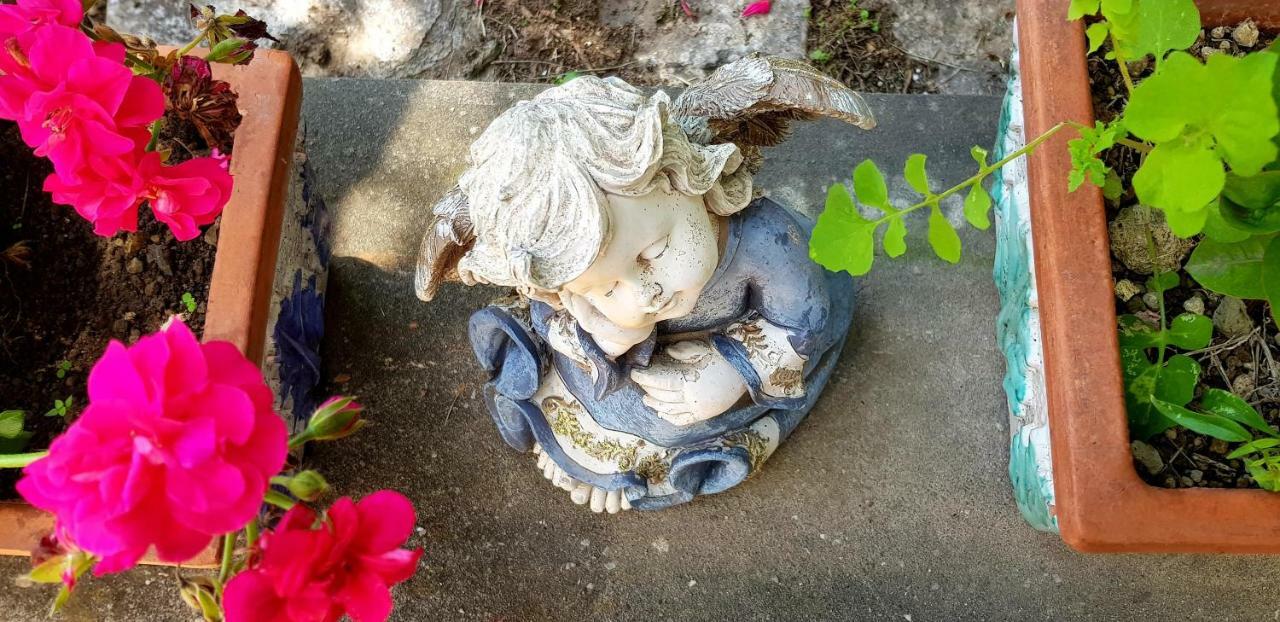 Il Limoneto Degli Angeli Villa Minori Ngoại thất bức ảnh